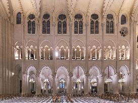 Exclusive - Illustration - The Cathedral of Notre Dame - Paris