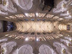 Exclusive - Illustration - The Cathedral of Notre Dame - Paris