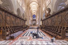 Exclusive - Illustration - The Cathedral of Notre Dame - Paris