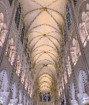 Exclusive - Illustration - The Cathedral of Notre Dame - Paris