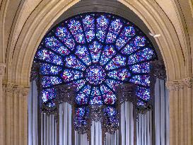 Exclusive - Illustration - The Cathedral of Notre Dame - Paris