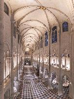 Exclusive - Illustration - The Cathedral of Notre Dame - Paris