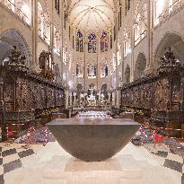 Exclusive - Illustration - The Cathedral of Notre Dame - Paris