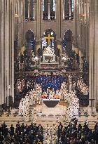 Exclusive - Illustration - The Cathedral of Notre Dame - Paris