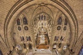 Exclusive - Illustration - The Cathedral of Notre Dame - Paris
