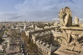 Exclusive - Illustration - The Cathedral of Notre Dame - Paris