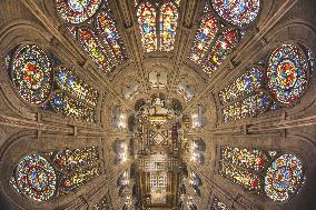 Exclusive - Illustration - The Cathedral of Notre Dame - Paris