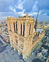 Exclusive - Illustration - The Cathedral of Notre Dame - Paris