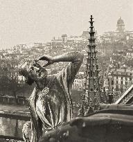 Exclusive - Illustration - The Cathedral of Notre Dame - Paris