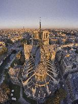 Exclusive - Illustration - The Cathedral of Notre Dame - Paris