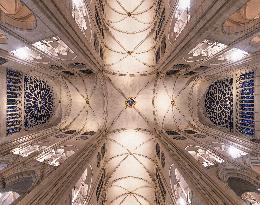 Exclusive - Illustration - The Cathedral of Notre Dame - Paris