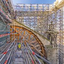 Exclusive - Illustration - The Cathedral of Notre Dame - Paris