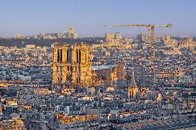 Exclusive - Illustration - The Cathedral of Notre Dame - Paris
