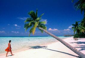 Illustration - Maldives
