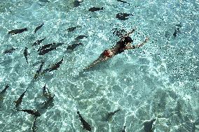 Illustration - Maldives