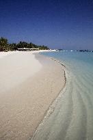 Illustration - Maldives