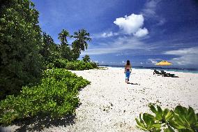 Illustration - Maldives