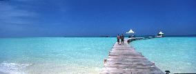 Illustration - Maldives
