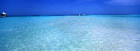 Illustration - Maldives