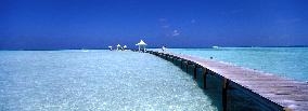 Illustration - Maldives