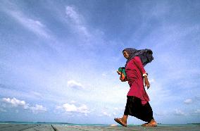 Illustration - Maldives