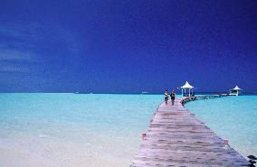 Illustration - Maldives