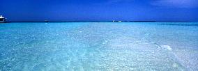 Illustration - Maldives