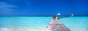 Illustration - Maldives