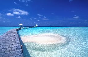 Illustration - Maldives
