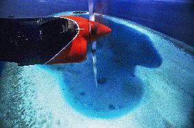 Illustration - Maldives