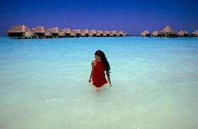 Illustration - Maldives