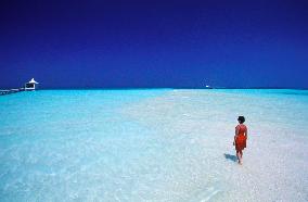 Illustration - Maldives