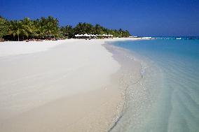 Illustration - Maldives