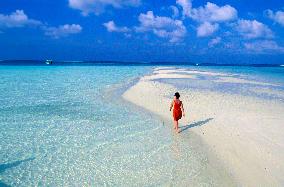 Illustration - Maldives