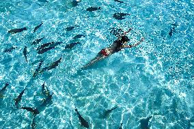 Illustration - Maldives