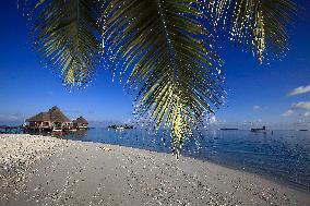Illustration - Maldives