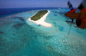 Illustration - Maldives