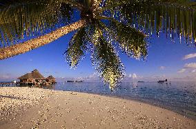 Illustration - Maldives