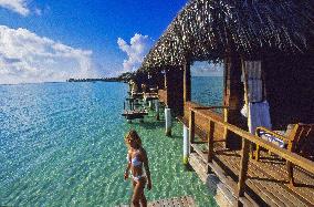 Illustration - Maldives