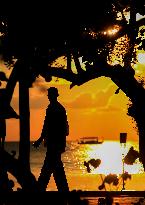 Illustration - Maldives