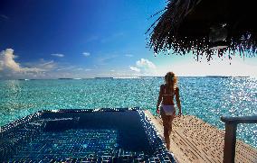 Illustration - Maldives