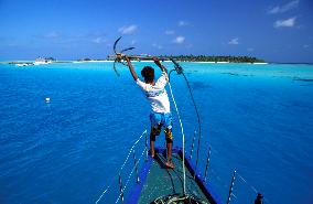 Illustration - Maldives