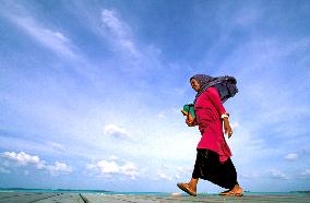Illustration - Maldives