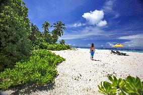 Illustration - Maldives