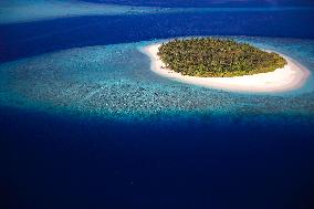 Illustration - Maldives