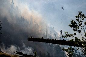 Dryden Creek Wildfire - Canada