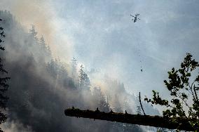 Dryden Creek Wildfire - Canada