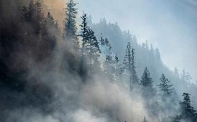 Dryden Creek Wildfire - Canada