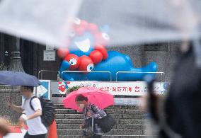 Scenes from the Rainy Season
