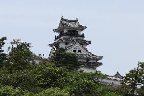 The exterior of Kochi Castle